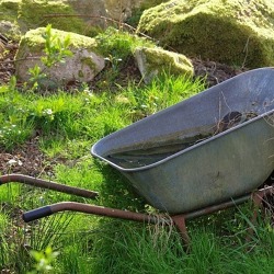 Wenn der Gartennachbar verschollen ist    