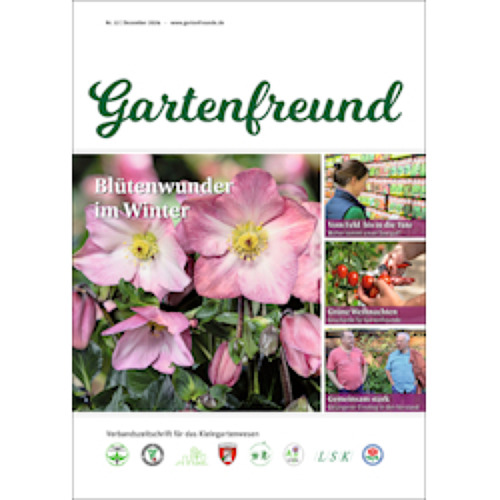 Gartenfreund-Ausgabe 12/2024 abrufbar