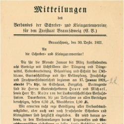 1920 - Der Landesverband wird aus der Taufe gehoben