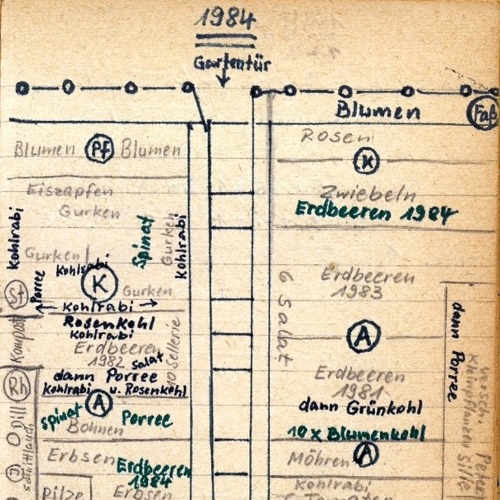 Ein Blick zurück in das Gartenjahr 1984