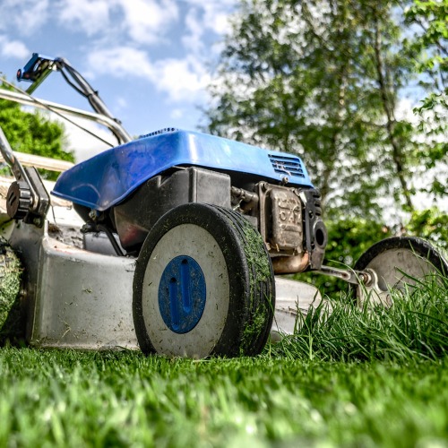 Gartenarbeit im September