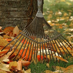 Tipps für den Herbst-Garten