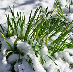 Bei Schnee Kontrollgänge einplanen