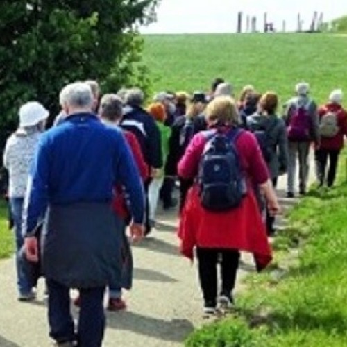 Marzahner und Hellersdorfer Kleingärtner laden zur Wanderung