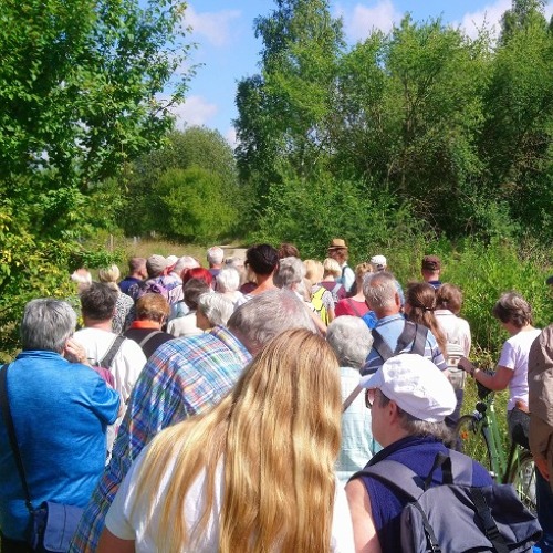 Das Wandern ist des Kleingärtners Lust, oder? - Kleingartenwanderung am 23.06.2024