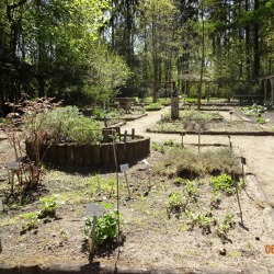 Teil 8 - Forstbotanischer Garten Eberswalde