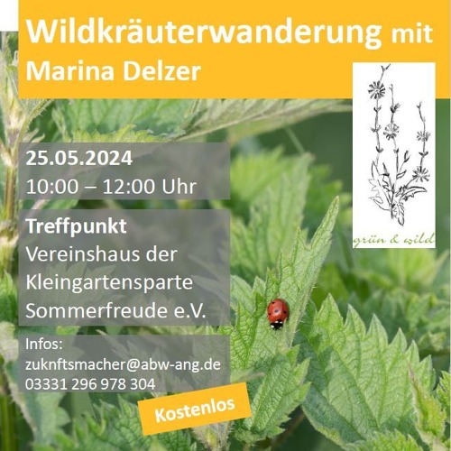 Kräuterwanderung