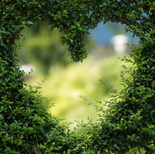 Erinnerung: Gartenbegehung am 04.05.24